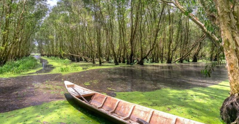Mangrove Forest& Monkey Island FULL DAY TRIP - Key Points