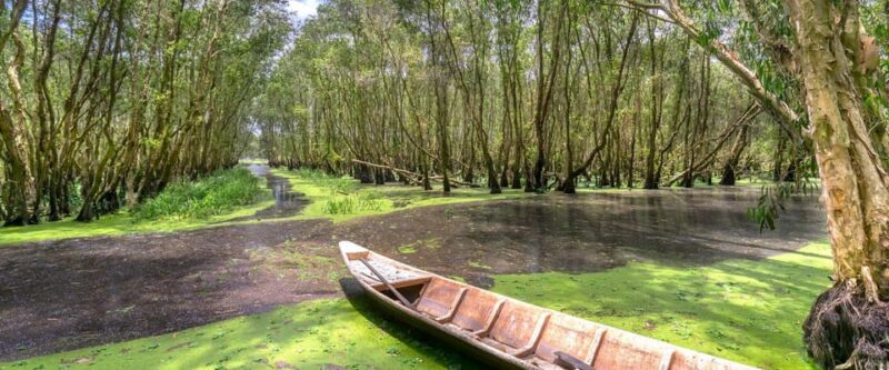 Mangrove Forest& Monkey Island FULL DAY TRIP - Itinerary Highlights
