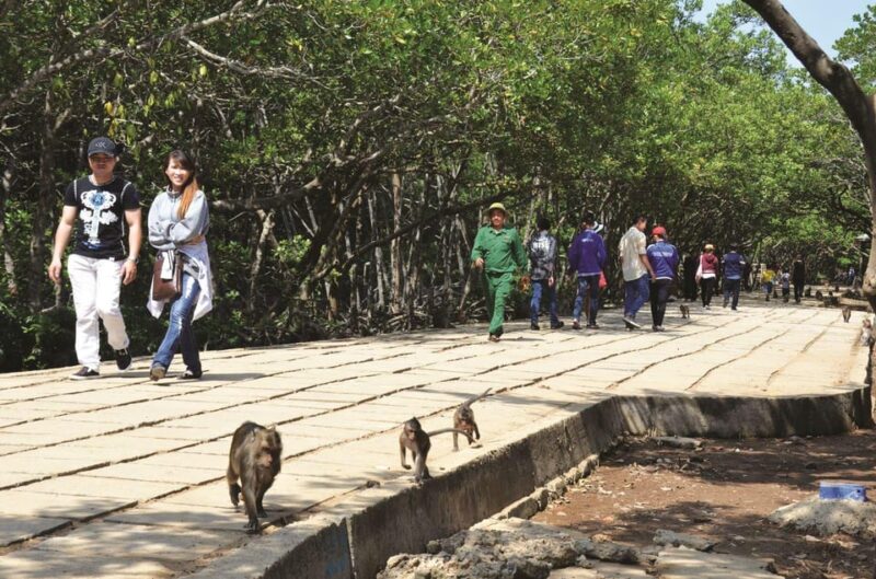 Mangrove Forest& Monkey Island FULL DAY TRIP - Prohibited Items