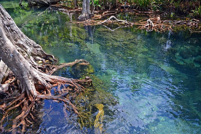 Mangrove Forest Tour In Langkawi - Pickup Information