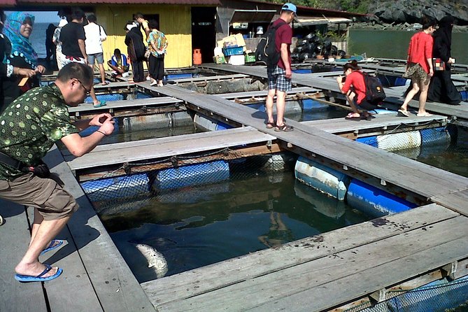 Mangrove Forest Tour In Langkawi - Booking and Logistics