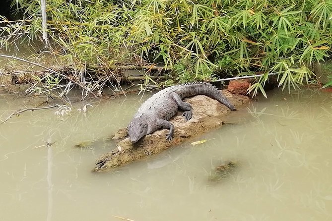 Mangrove & Gandoca Lagoon - Recap