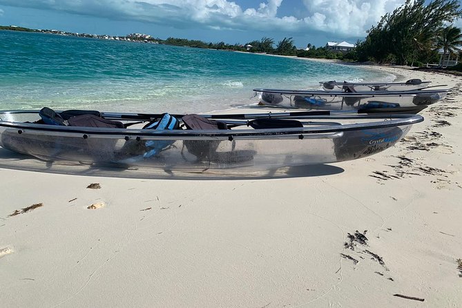 Mangrove & Iguana Clear Kayak Tour - Location and Reviews
