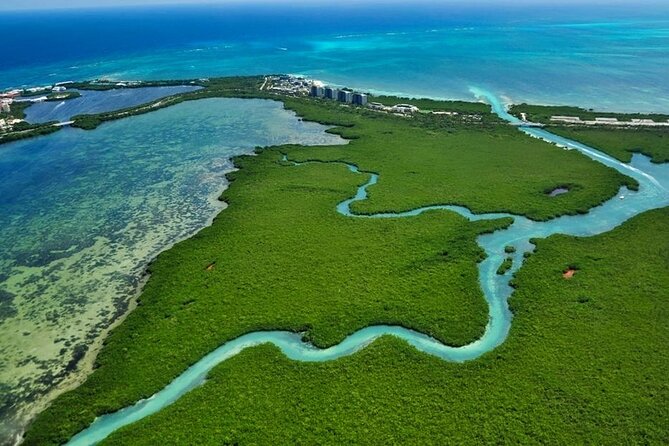 Mangrove Jungle Speedboat Experience - Meeting Point and Pickup
