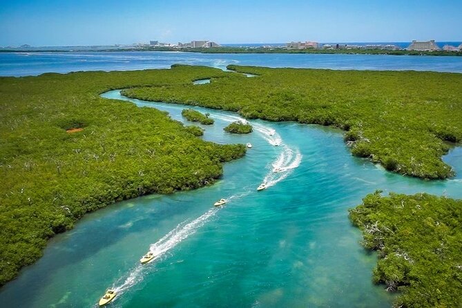 Mangrove Jungle Speedboat Experience - Frequently Asked Questions