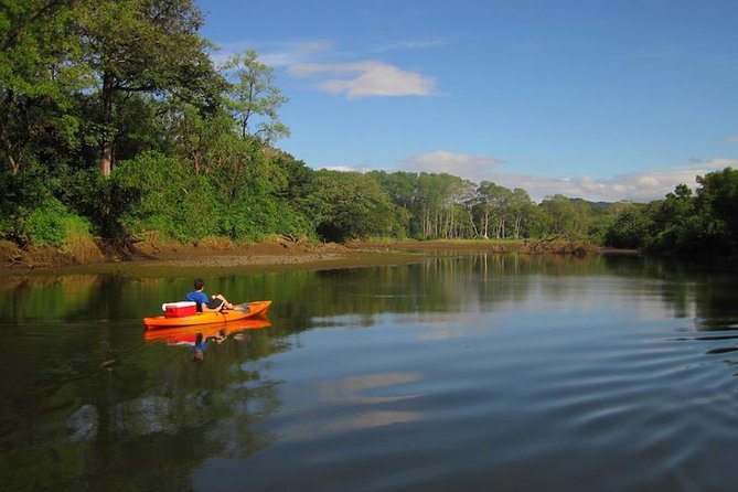 Mangrove Kayak - Pickup and Meeting Details