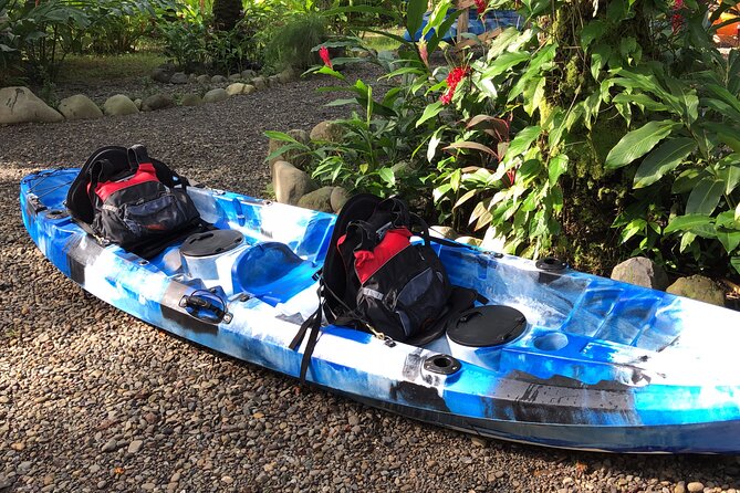 Mangrove Kayak - Tour Inclusions and Logistics