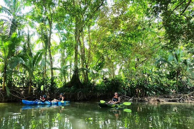 Mangrove Kayak - Exploring the Damas Island Estuary