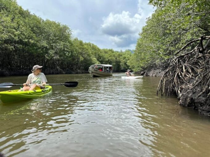 Mangrove Kayak in Langkawi Estimated 4 Hours With Lunch - Kayaking Through Mangroves
