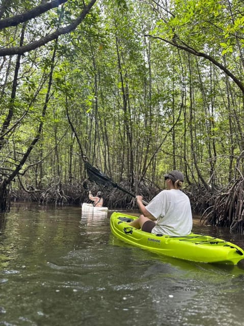 Mangrove Kayak in Langkawi Estimated 4 Hours With Lunch - Frequently Asked Questions