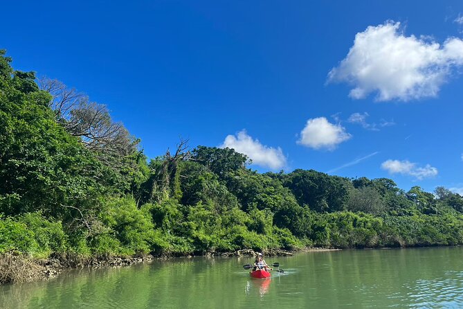 Mangrove Kayak & Sea Fishing Experience in Okinawa - Group Size and Accessibility