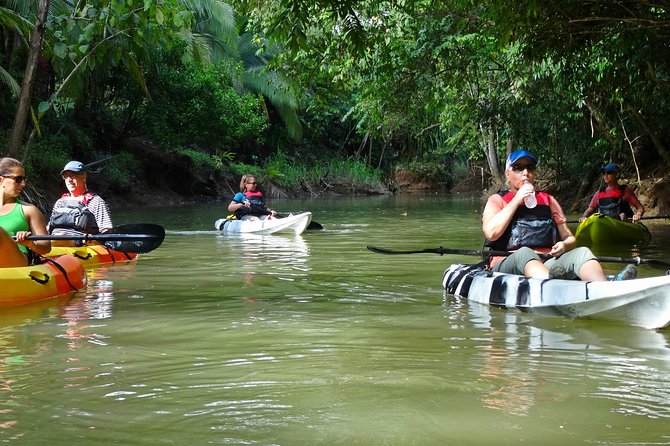 Mangrove Kayak Tour | Manuel Antonio - Expected Wildlife