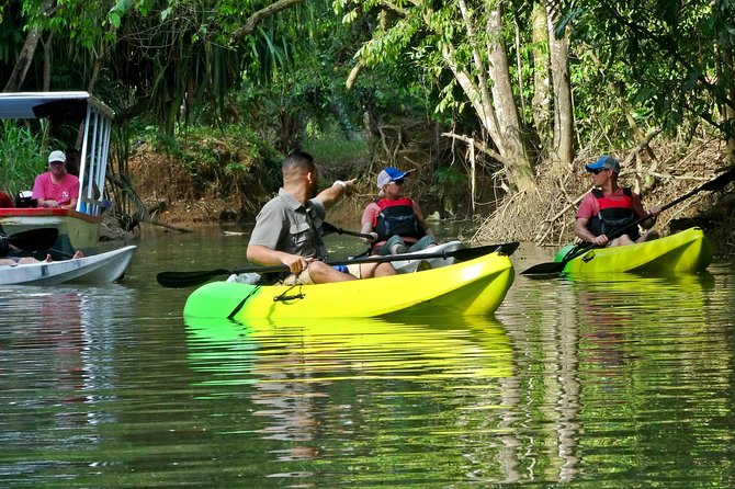 Mangrove Kayak Tour | Manuel Antonio - Fitness and Preparation
