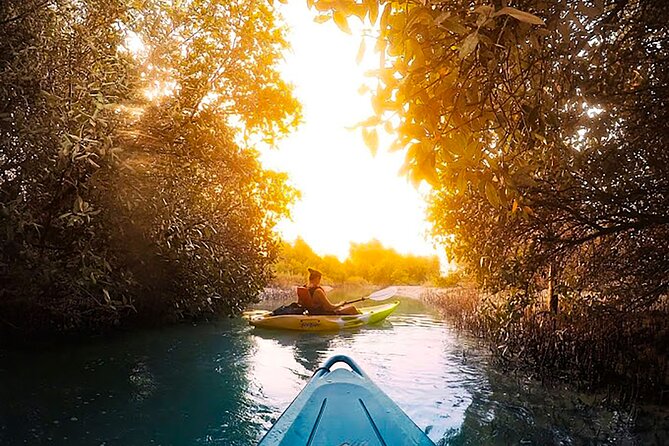 Mangrove Kayaking Abu Dhabi - About Your Stay