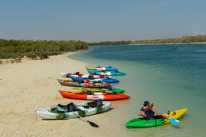 Mangrove Kayaking Abu Dhabi - Best Time to Go
