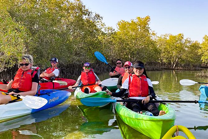 Mangrove Kayaking Abu Dhabi - What to Expect