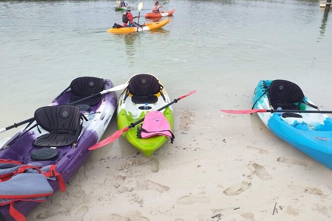 Mangrove Kayaking Abu Dhabi - Health and Safety Guidelines