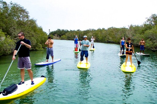 Mangrove Kayaking Abu Dhabi - Pricing and Inclusions