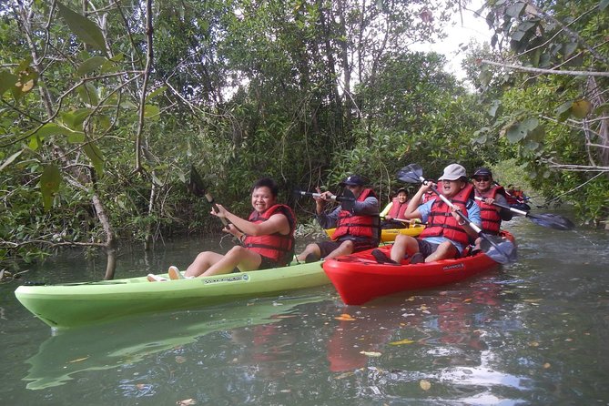 Mangrove Kayaking Adventure in Singapore - Kayaking Equipment and Gear