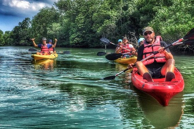Mangrove Kayaking Adventure in Singapore - English-speaking Adventures Leader