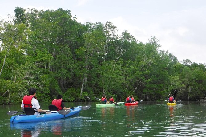 Mangrove Kayaking Adventure in Singapore - Crossing the Open Sea