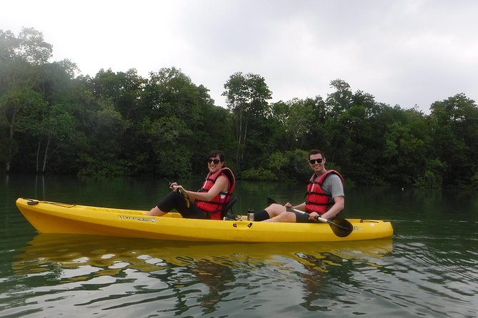 Mangrove Kayaking Adventure in Singapore - Spotting Wildlife and Birds