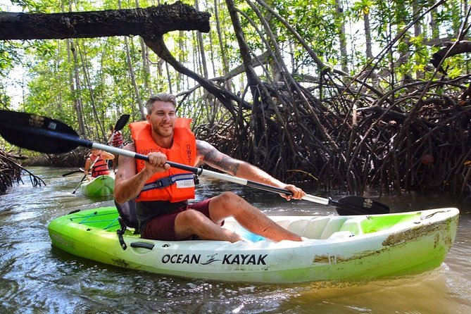 Mangrove Kayaking (Or Boat) Adventure - Key Points