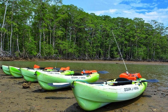 Mangrove Kayaking (Or Boat) Adventure - Health Requirements and Accessibility