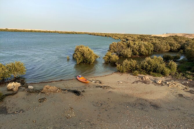 Mangrove Kayaking Purple Island Adventure - Accessibility and Accommodations