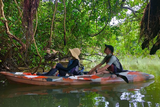 Mangrove Kayaking to Enjoy Nature in Okinawa - Required Equipment