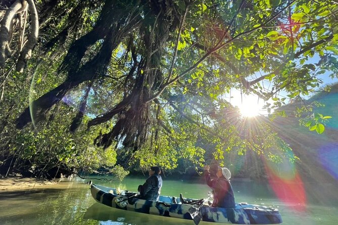 Mangrove Kayaking to Enjoy Nature in Okinawa - Cancellation Policy