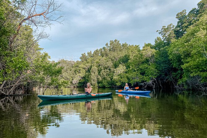 Mangrove Kayaking Tour - Culinary Experience