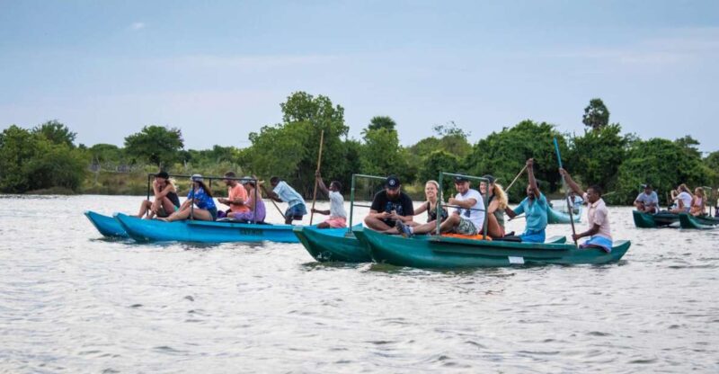 Mangrove Lagoon Safari - Key Points