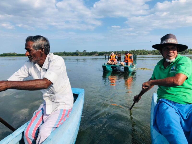 Mangrove Lagoon Safari - Birdwatching Opportunities