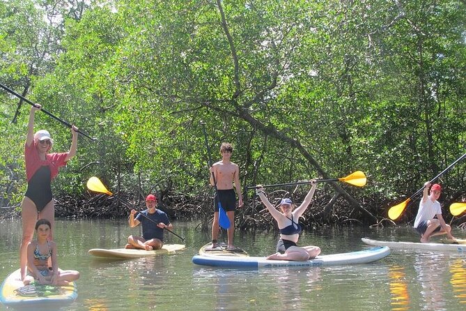 Mangrove Paddle Ride Sainte Anne Guadeloupe - Whats Included