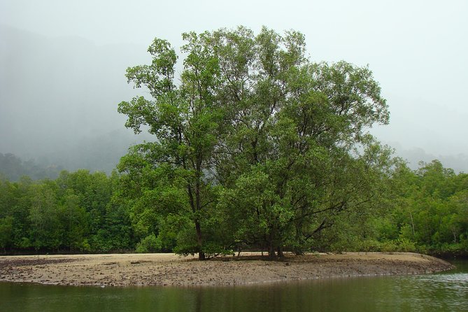 Mangrove River Cruise and Snorkeling Tour From Langkawi - Meeting and Pickup
