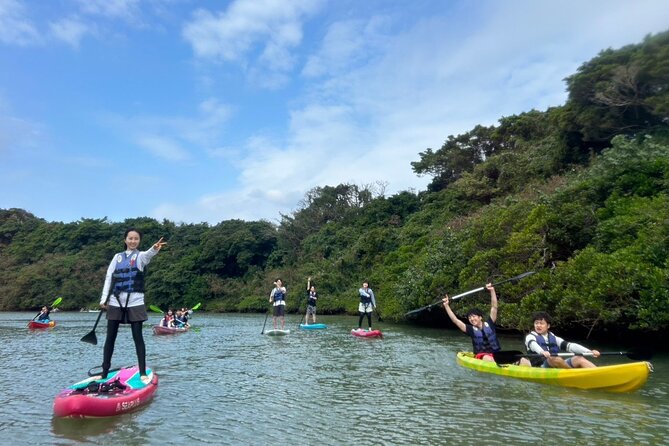 Mangrove SUP in Okinawa - Tour Inclusions