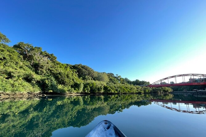Mangrove SUP in Okinawa - Group Size