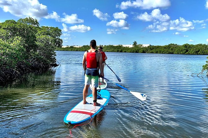 Mangrove SUP Safari - Schedule and Availability