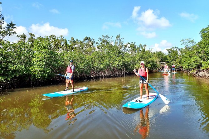 Mangrove SUP Safari - Participant Requirements