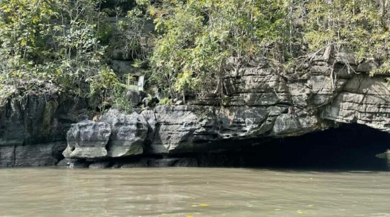 Mangrove Tour 3hour + Beach Swim + Free Lunch - A Deep Dive Into the Mangrove Experience