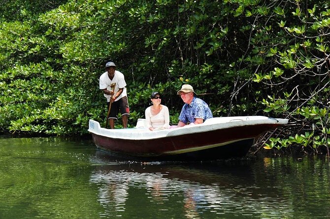 Mangrove Tour at Lembongan Island - Without Hotel Transfer - Good To Know