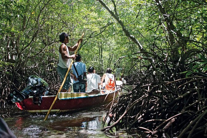 Mangrove Tour at Lembongan Island - Without Hotel Transfer - Inclusions and Exclusions