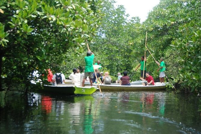 Mangrove Tour at Lembongan Island - Without Hotel Transfer - Customer Reviews and Feedback