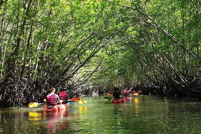 Mangrove Tour by Kayaking in Ko Lanta With Lunch - Discovering Ko Lanta’s Mangrove Kayaking Tour: A Balanced Look