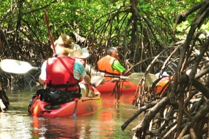 Mangrove Tour by Kayaking in Ko Lanta With Lunch - A Deep Dive into the Experience