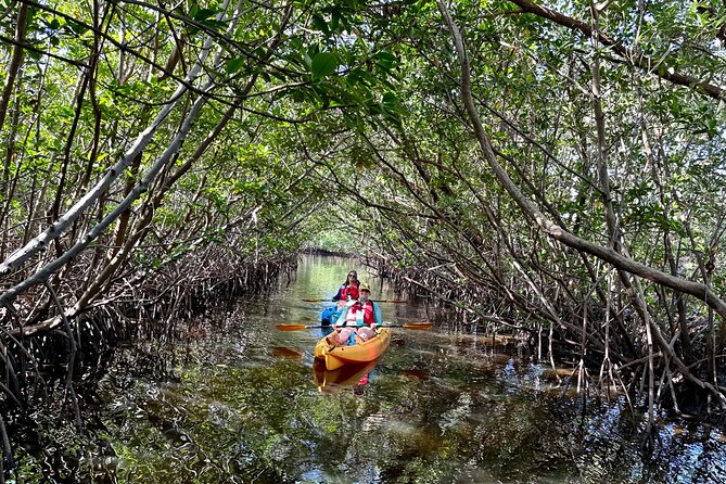 Mangrove Tunnel Kayak Eco Tour - Included in the Experience