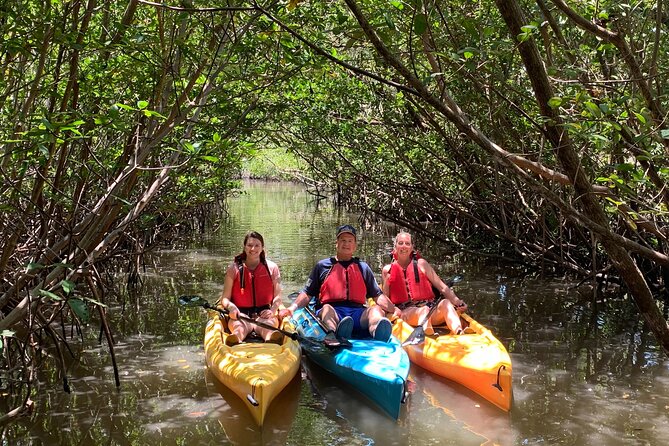 Mangrove Tunnel Kayak Eco Tour - Meeting Point and Launch Locations