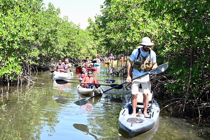 Mangrove Tunnel Kayak Eco Tour - Availability and Timing