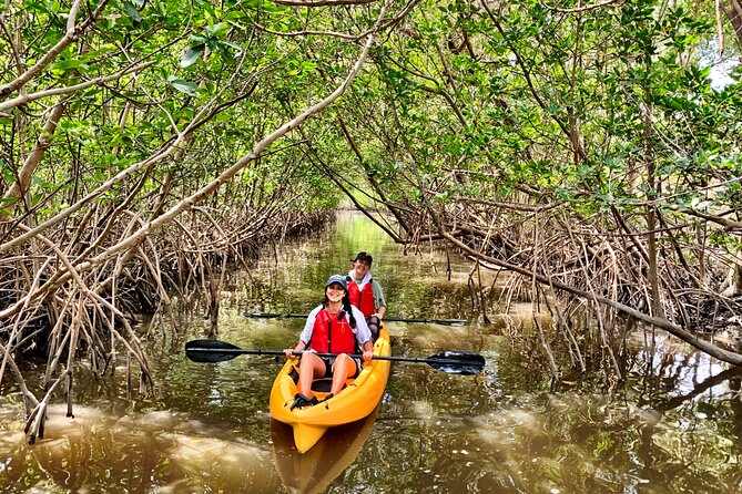 Mangrove Tunnel Kayak Eco Tour - Exploring the Mangrove Trails